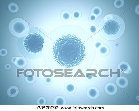 Stock Image - Egg cells against a blue background, illustration.. Fotosearch