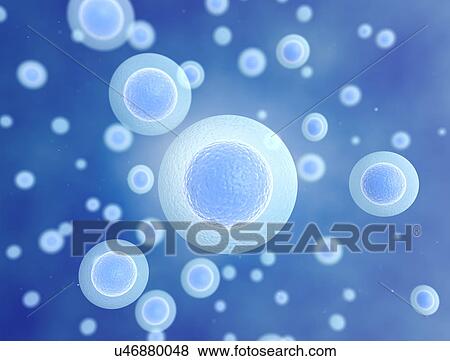 Stock Photo - Egg cells against a blue background, illustration.. Fotosearch