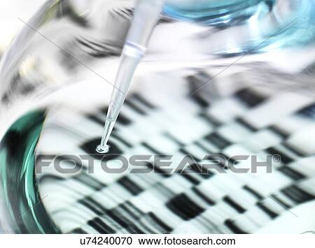 Genetics research. Pipette and flask in front of a DNA (deoxyribonucleic acid) autoradiogram. View Large Photo Image Stock Image - Genetics research. Pipette and flask in front of a DNA (deoxyribonucleic acid) autoradiogram.. Fotosearch