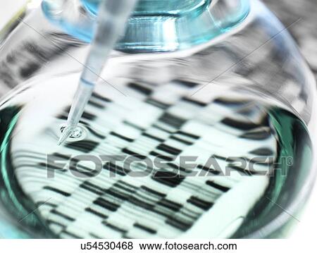 Stock Photo - Genetics research. Pipette and flask in front of a DNA (deoxyribonucleic acid) autoradiogram.. Fotosearch