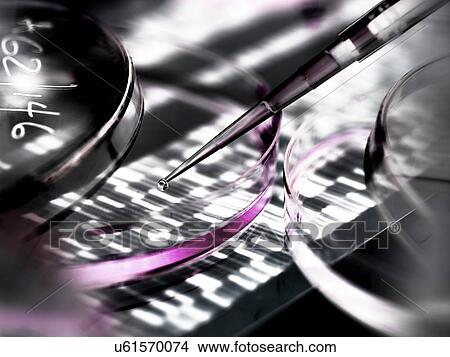 Genetics research. Pipette and petri dish in front of a DNA (deoxyribonucleic acid) autoradiogram. View Large Photo Image Picture - Genetics research. Pipette and petri dish in front of a DNA (deoxyribonucleic acid) autoradiogram.. Fotosearch