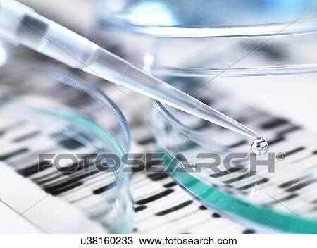 Genetics research. Pipette and petri dish in front of a DNA (deoxyribonucleic acid) autoradiogram. View Large Photo Image Stock Image - Genetics research. Pipette and petri dish in front of a DNA (deoxyribonucleic acid) autoradiogram.. Fotosearch