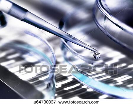 Stock Photo - Genetics research. Pipette and petri dish in front of a DNA (deoxyribonucleic acid) autoradiogram.. Fotosearch