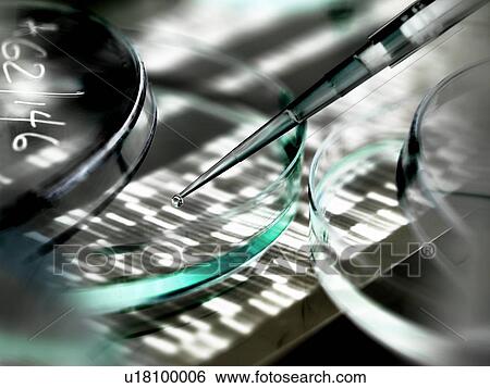 Stock Photograph - Genetics research. Pipette and petri dish in front of a DNA (deoxyribonucleic acid) autoradiogram.. Fotosearch