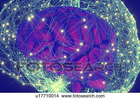 Human brain network, illustration. View Large Photo Image Picture - Human brain network, illustration.. Fotosearch
