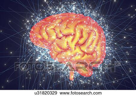 Stock Photo - Human brain network, illustration.. Fotosearch