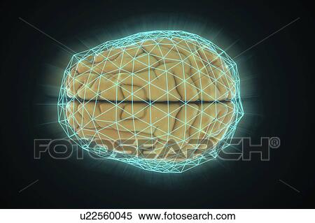 Stock Photography - Human brain network, illustration.. Fotosearch