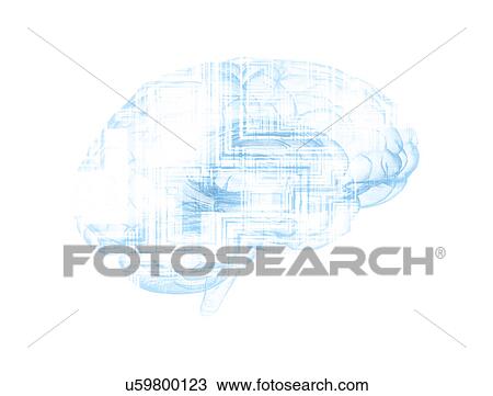 Stock Image - Human brain with circuit boards, illustration.. Fotosearch