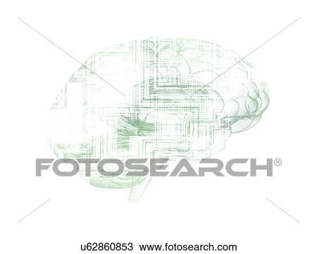 Stock Image - Human brain with circuit boards, illustration.. Fotosearch