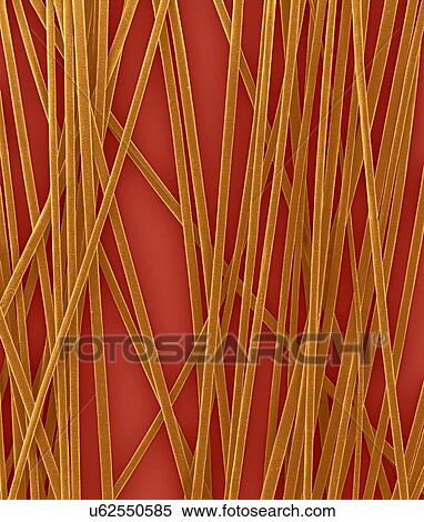Stock Photography - Human hair shafts from the head, coloured scanning electron micrograph (SEM). The outer layer of hair (the cuticle) has overlapping scales of keratin. These scales are thought to prevent hairs from matting together. Hair is made up of a fibrous.... Fotosearch