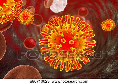 Stock Image - Illustration of Human Immunodeficiency Virus (HIV) in blood. HIV is a RNA virus from the Retroviridae family that causes acquired immune deficiency syndrome (AIDS).. Fotosearch