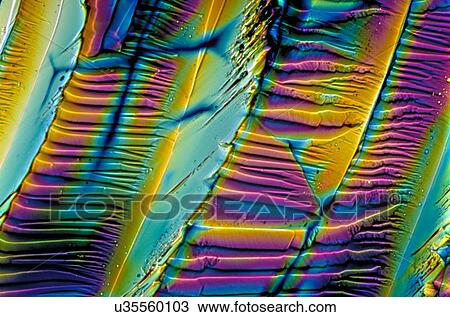 Stock Image - Light micrograph (LM) of Gamma-aminobutyric acid (GABA) crystals. An inhibitory central nervous system neurotransmitter secreted in the spinal cord, the cerebral cortex and the cerebellum. Magnification: x40 when shortest axis printed at 25 millimetres.. Fotosearch