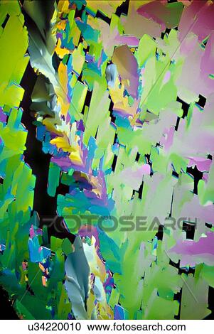Stock Image - Light micrograph (LM) of Vancomycin (antibiotic) crystals. Vancomycin is an antibiotic used in the prophylaxis and treatment of infections caused by Gram-positive bacteria. It acts by inhibiting proper cell wall synthesis. It is a branched tricyclic,.... Fotosearch