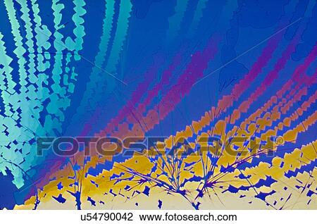 Light micrograph (LM) of Vitamin B5 (pantothenic acid) crystals. Vitamin B5, also called pantothenic acid, is an antioxidant and water-soluble vitamin needed to break down carbohydrates, proteins, and fats. Pantothenic acid deficiency is very... View Large Photo Image Stock Image - Light micrograph (LM) of Vitamin B5 (pantothenic acid) crystals. Vitamin B5, also called pantothenic acid, is an antioxidant and water-soluble vitamin needed to break down carbohydrates, proteins, and fats. Pantothenic acid deficiency is very.... Fotosearch