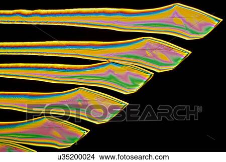 Light micrograph (LM) of Vitamin B6 (pyridoxine) and Vitamin B2 (riboflavin) crystals. Vitamin B6 is a water-soluble vitamin that is needed for more than 100 enzymes involved in protein metabolism. It is also essential for red blood cell metabolism.... View Large Photo Image Picture - Light micrograph (LM) of Vitamin B6 (pyridoxine) and Vitamin B2 (riboflavin) crystals. Vitamin B6 is a water-soluble vitamin that is needed for more than 100 enzymes involved in protein metabolism. It is also essential for red blood cell metabolism..... Fotosearch
