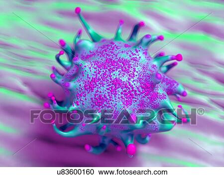 Stock Image - Lymphoma cancer cell, illustration.. Fotosearch