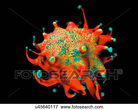 Lymphoma cancer cell, illustration. View Large Photo Image Stock Photo - Lymphoma cancer cell, illustration.. Fotosearch