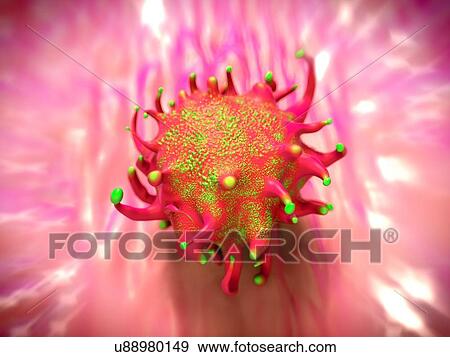 Lymphoma cancer cell, illustration. View Large Photo Image Stock Photo - Lymphoma cancer cell, illustration.. Fotosearch