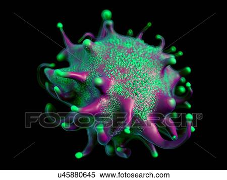 Lymphoma cancer cell, illustration. View Large Photo Image Stock Photography - Lymphoma cancer cell, illustration.. Fotosearch