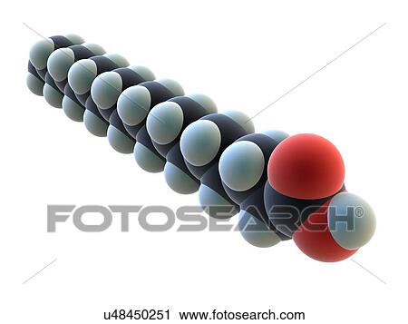 Stock Image - Molecular representation of stearic acid. Stearic acid is the saturated fatty acid with an 18 carbon chain and has the IUPAC name octadecanoic acid. It is a waxy solid, and its chemical formula is CH3(CH2)16CO2H. The salts and esters of stearic acid.... Fotosearch