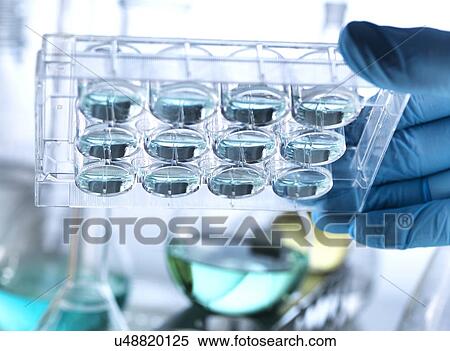 Stock Photography - Scientist holding a multiwell plate during an experiment.. Fotosearch