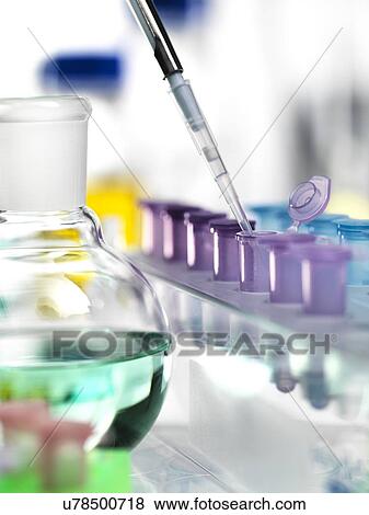 Substance being pipetted from a round-bottom flask into Eppendorf tubes. View Large Photo Image Stock Photo - Substance being pipetted from a round-bottom flask into Eppendorf tubes.. Fotosearch