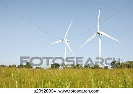 Picture - Wind turbines in field.. Fotosearch