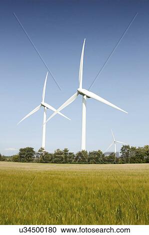Stock Image - Wind turbines in field.. Fotosearch