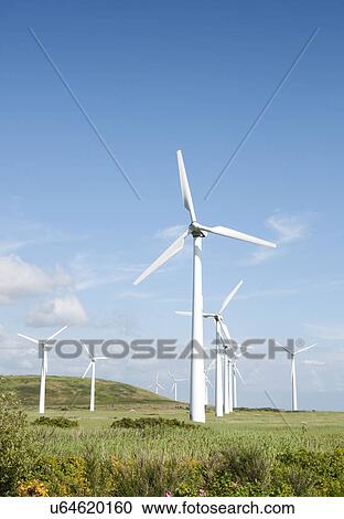 Wind turbines in field. View Large Photo Image Stock Image - Wind turbines in field.. Fotosearch