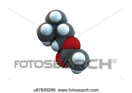 Stock Photograph - Acetylcholine molecule. Fotosearch