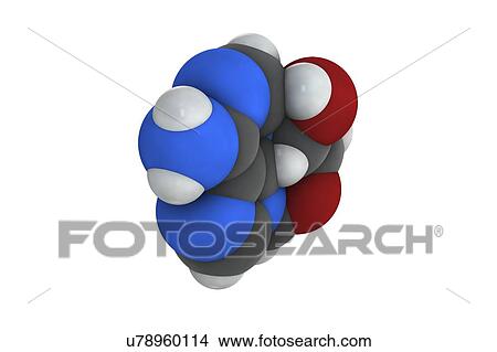 Adenosine purine nucleoside molecule View Large Photo Image Picture - Adenosine purine nucleoside molecule. Fotosearch