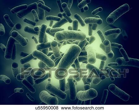 Stock Photo - Bacteria cells. Fotosearch
