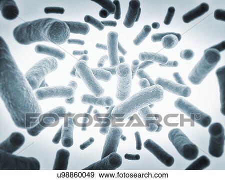 Stock Photo - Bacteria cells. Fotosearch