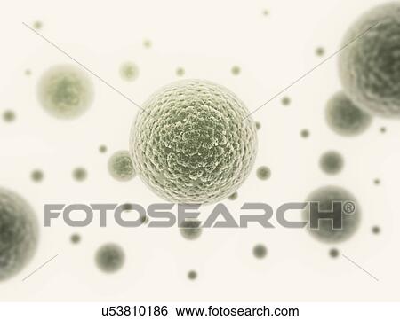 Stock Photograph - Bacteria cells. Fotosearch