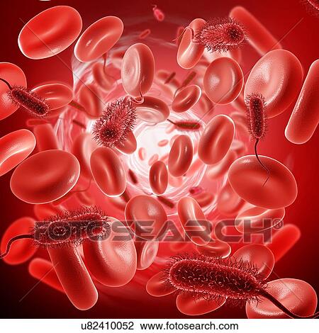 Bacterial blood infection, illustration View Large Photo Image Stock Image - Bacterial blood infection, illustration. Fotosearch