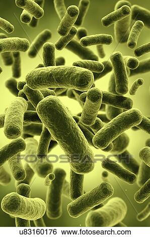 Bacterium View Large Photo Image Stock Photograph - Bacterium. Fotosearch