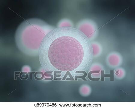 Blue human eggs View Large Photo Image Stock Photograph - Blue human eggs. Fotosearch