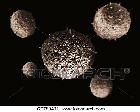 Stock Image - Cancer cells . Fotosearch
