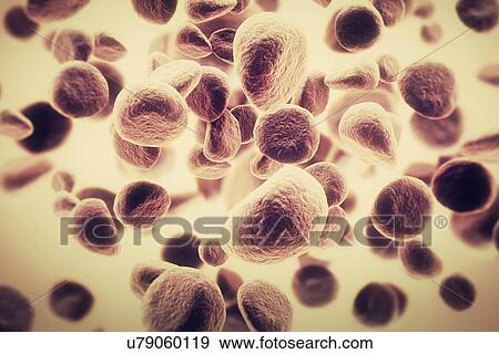 Cancer cells View Large Photo Image Stock Photo - Cancer cells. Fotosearch