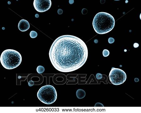 Stock Image - Cells. Fotosearch