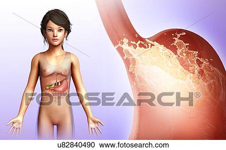 Child with stomach acidity, illustration View Large Photo Image Stock Image - Child with stomach acidity, illustration. Fotosearch