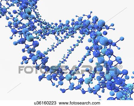 Stock Image - DNA strand. Fotosearch