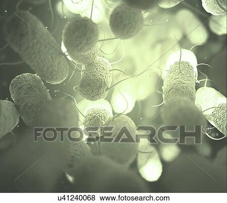 Enterobacteriaceae View Large Photo Image Stock Photo - Enterobacteriaceae. Fotosearch