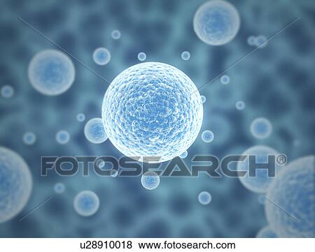 Stock Photo - Human cells. Fotosearch