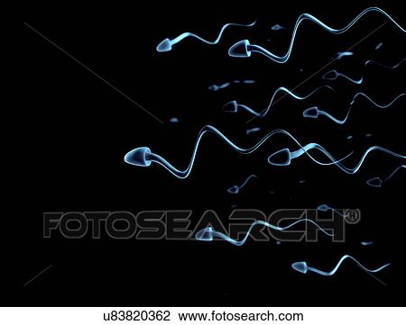 Human sperm View Large Photo Image Stock Image - Human sperm. Fotosearch