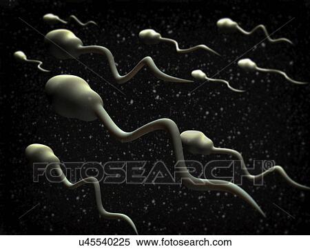 Human sperm View Large Photo Image Stock Photography - Human sperm. Fotosearch