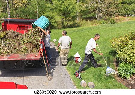 Stock Image - Landscapers at work in garden. Fotosearch