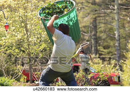 Stock Image - Landscapers at work in garden. Fotosearch