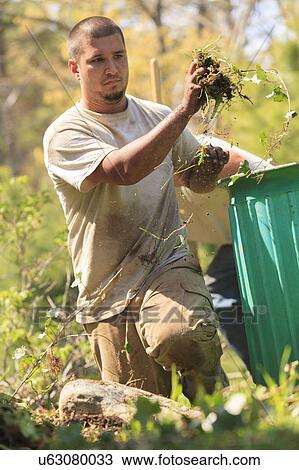 Landscapers at work in garden View Large Photo Image Stock Image - Landscapers at work in garden. Fotosearch