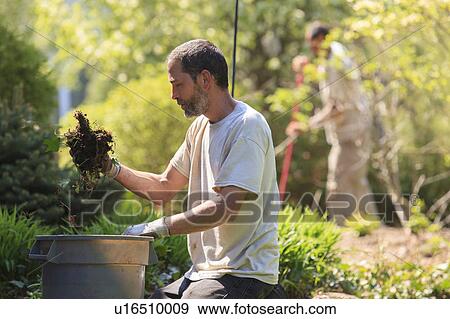Stock Photo - Landscapers at work in garden. Fotosearch